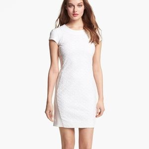 DVF Pele White Eyelet Dress Size 0 NWT
